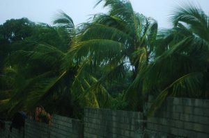 catastrophe naturelle cyclone