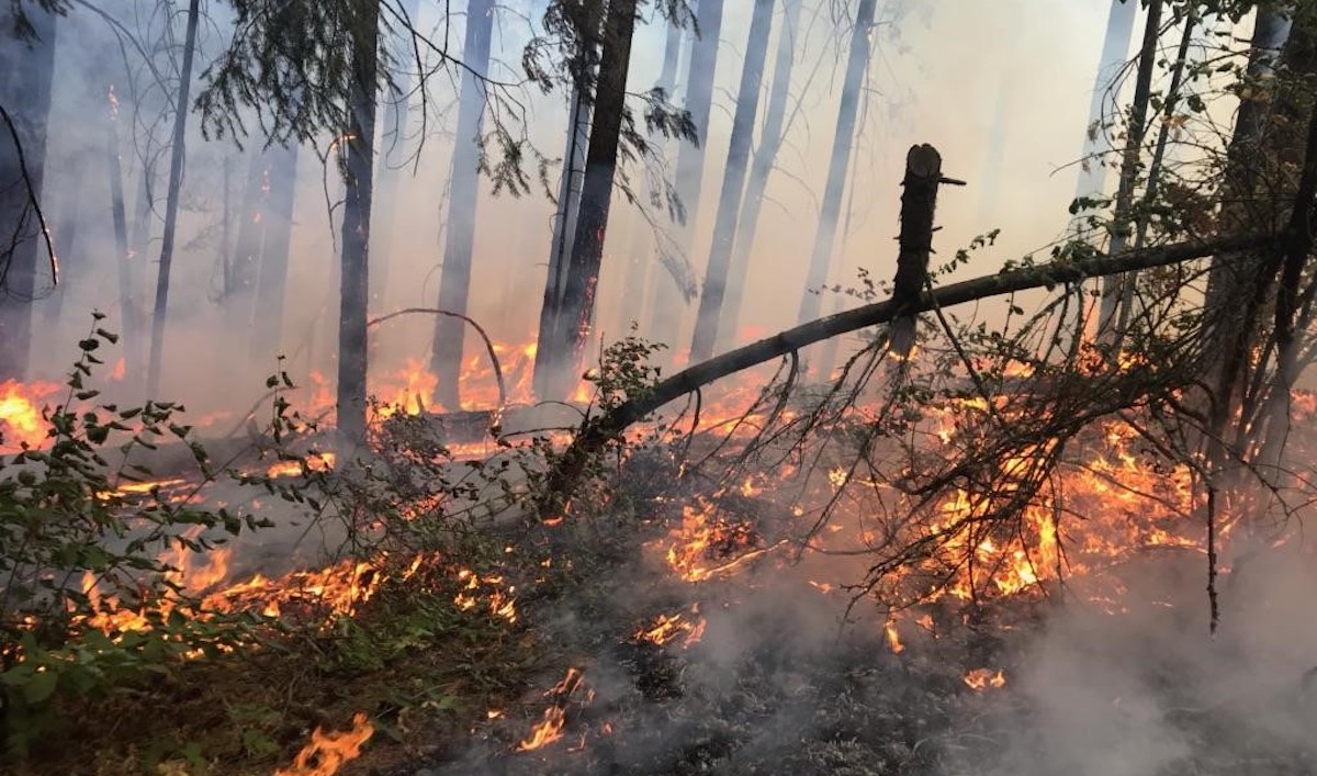 Feux préventifs réalisés par l'U.S Forest service Pacific Northwest region en octobre 2018 licence CC