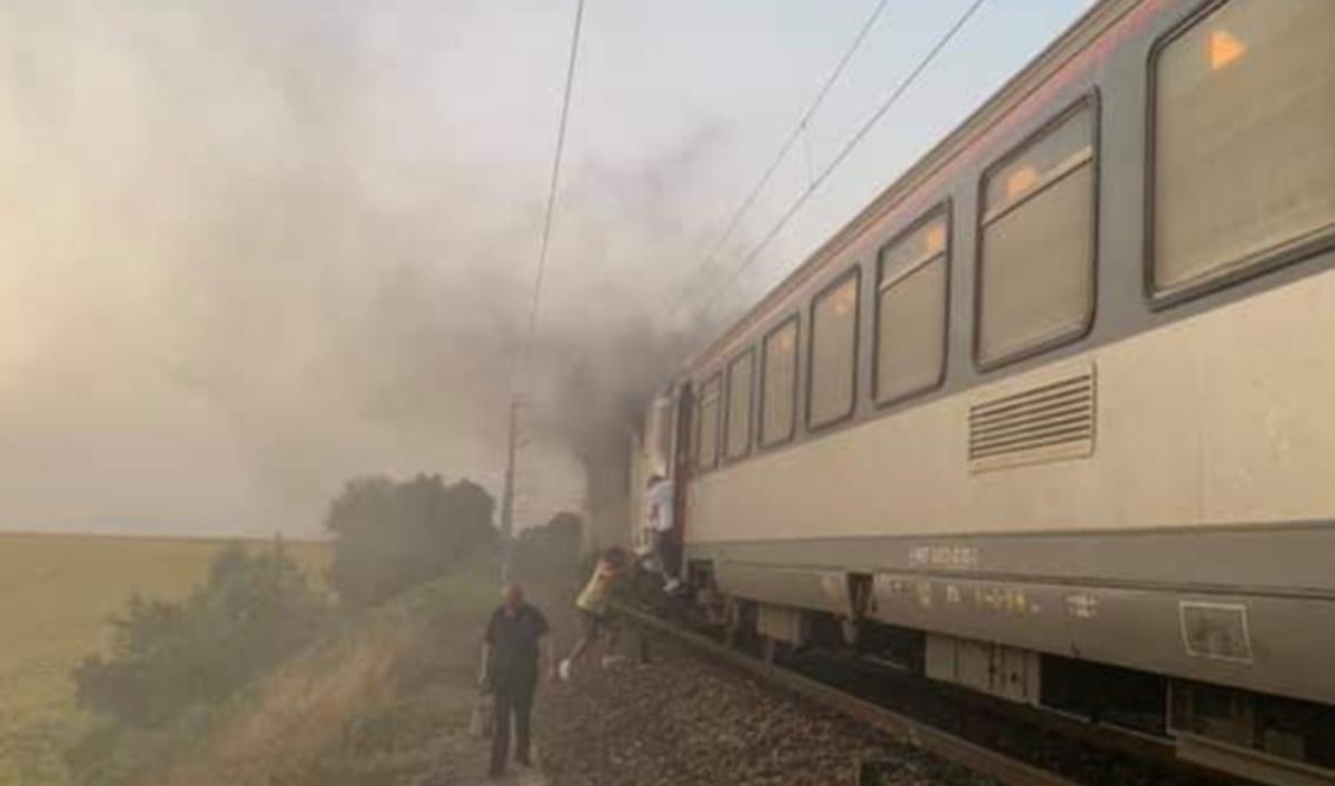 Canicule et incendies au centre de la revue de presse (photo d’illustration Twitter Asso Autan) Canicule et incendies au centre de la revue de presse (photo d'illustration Twitter Asso Autan)