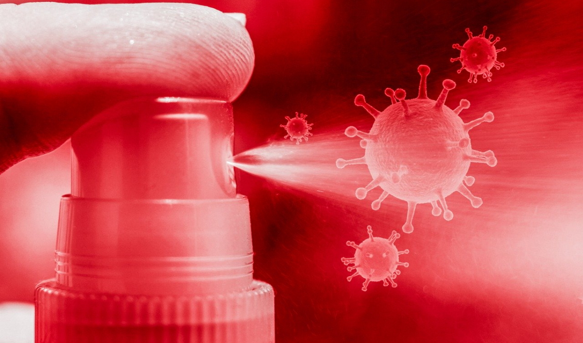 Coronavirus (image d'illustration mohamed_hassan pixabay cc)