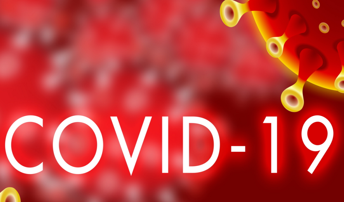 Covid-19 synthèse gouvernementale (image d’illustration iXimus_pixabay) Covid-19 synthèse gouvernementale (image d'illustration iXimus_pixabay)