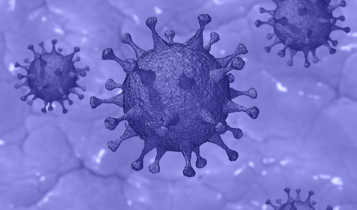 Synthèse mesures gouvernementales Covid-19 (image d’illsutration Pete Linforth_Pixabay commons). Synthèse mesures gouvernementales Covid-19 (image d'illsutration Pete Linforth_Pixabay commons).