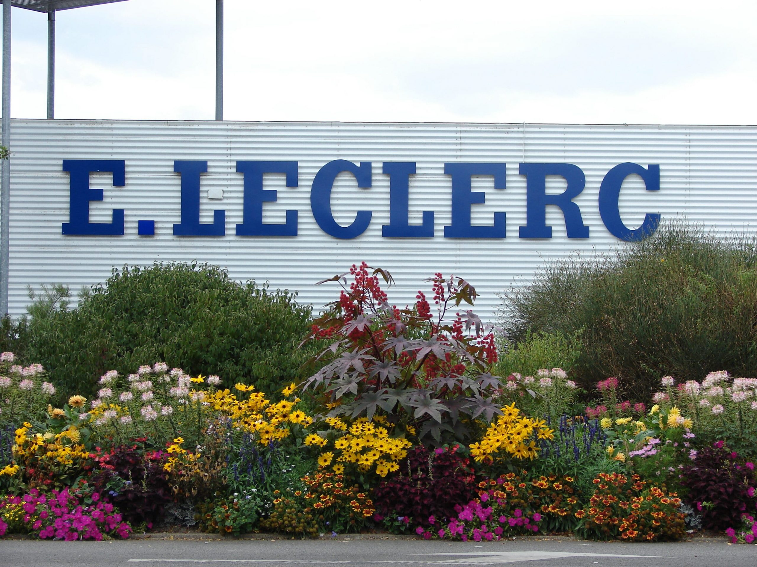 Leclerc Photo M. Stirkis Wikimedia CC Leclerc Photo M. Stirkis Wikimedia CC