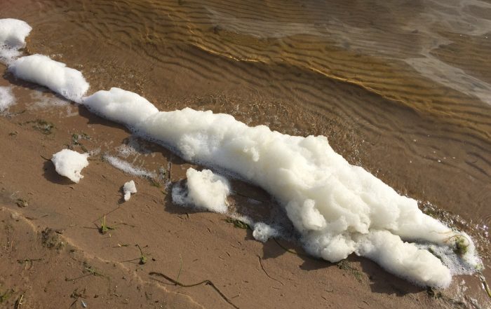 Rejet de Pfas dans l'environnement-Crédit: Egle-Flick-Cc