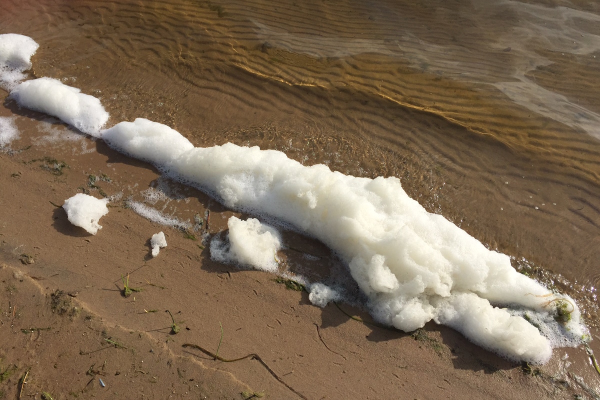 Rejet de Pfas dans l'environnement-Crédit: Egle-Flick-Cc