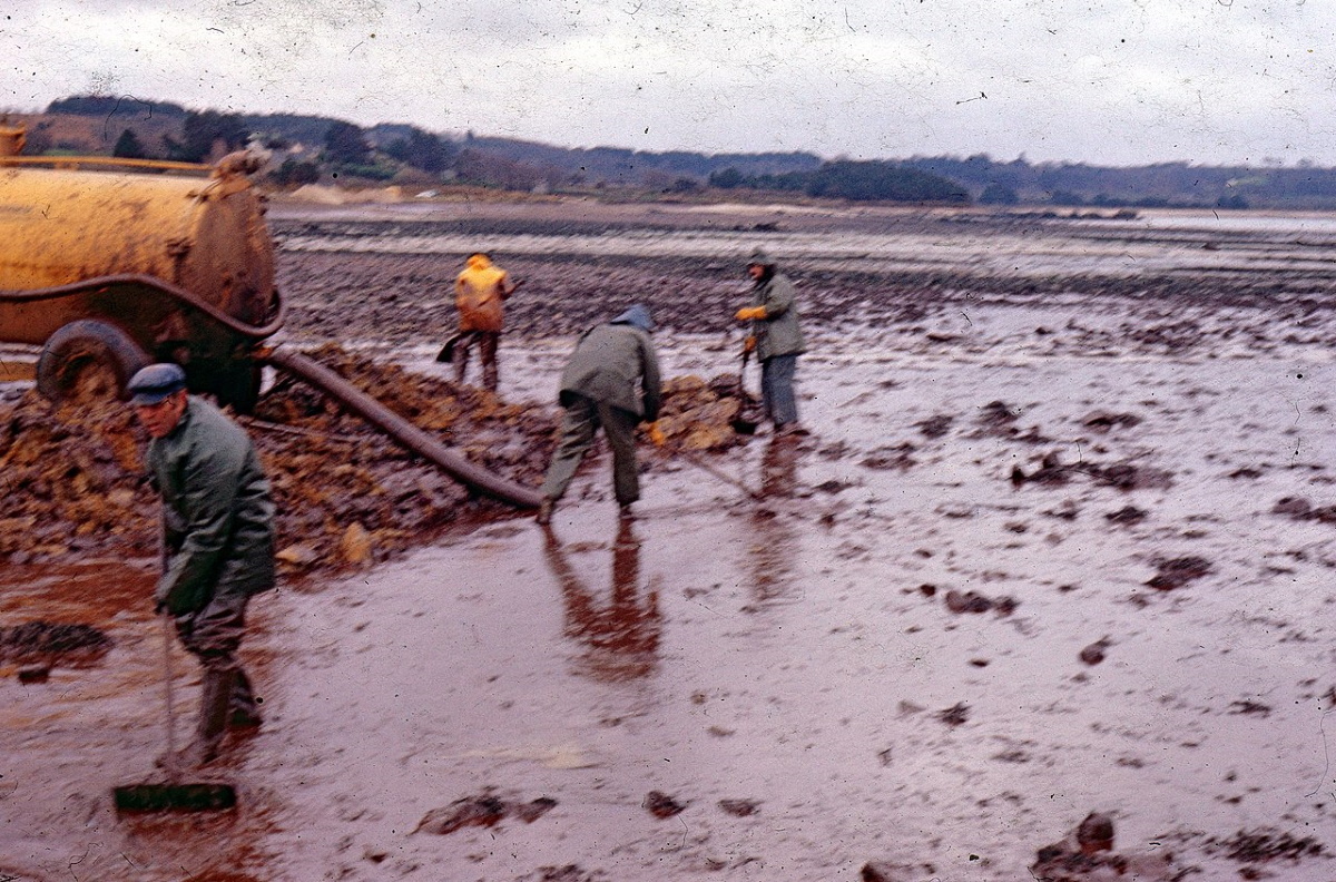 Nettoyage d'une plage des Côtes-d'Armor après le naufrage de l'Amoco Cadiz. Crédit: Fylip22-Wikimedia commons