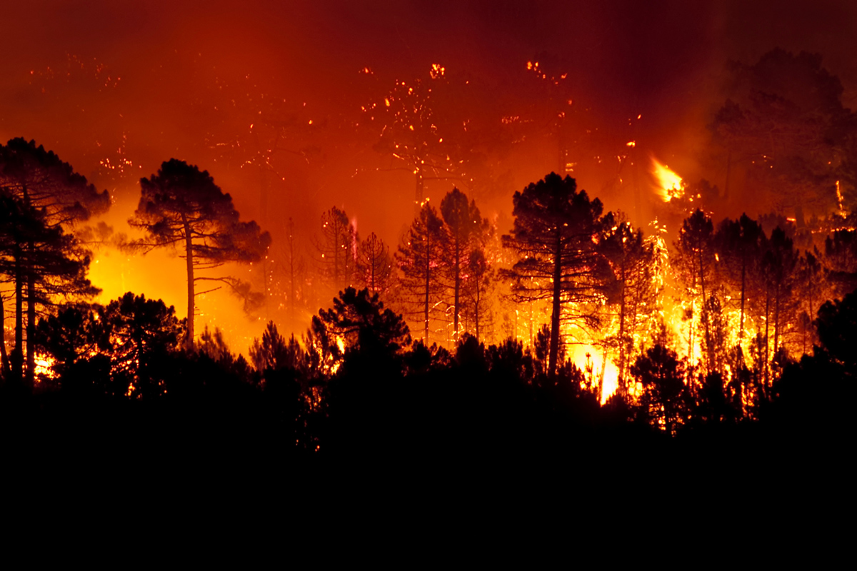 Une nouvelle loi renforce la prévention et la lutte contre l’intensification et l’extension du risque incendie. Crédit : Javier Alonso Huerta / Adobestock.