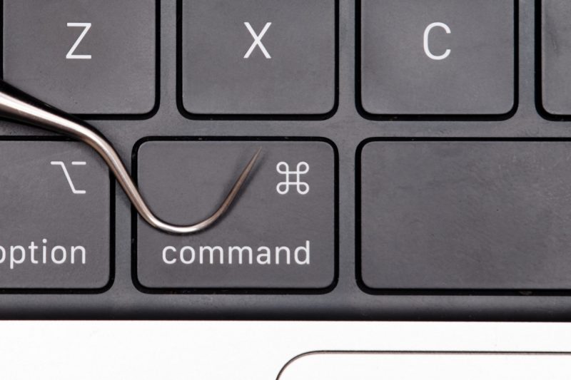 Hameçonnage et harponnage, pourquoi les cybercriminels en raffolent