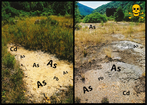 Arseniques-Robin des Bois- Crédit: JP Edin Robin des Bois 2001 – site de Roqueredonde Arseniques-Robin des Bois- Crédit: JP Edin Robin des Bois 2001 – site de Roqueredonde