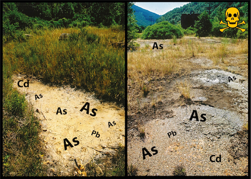 Arseniques-Robin des Bois- Crédit: JP Edin Robin des Bois 2001 – site de Roqueredonde