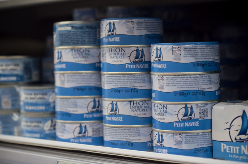 Scandale Petit Navire. Crédit pixarno/AdobeStock Thon Petit Navire