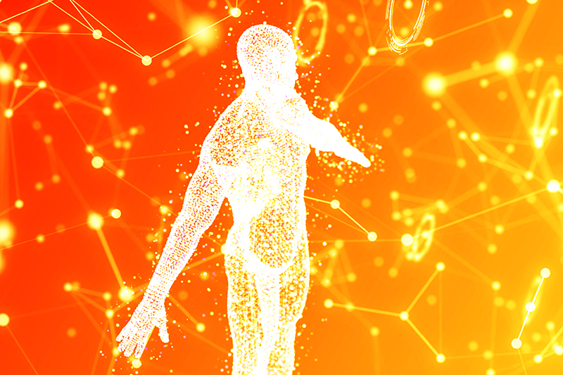 Photo couverture FAR 612 © Ebrublue10/iStock